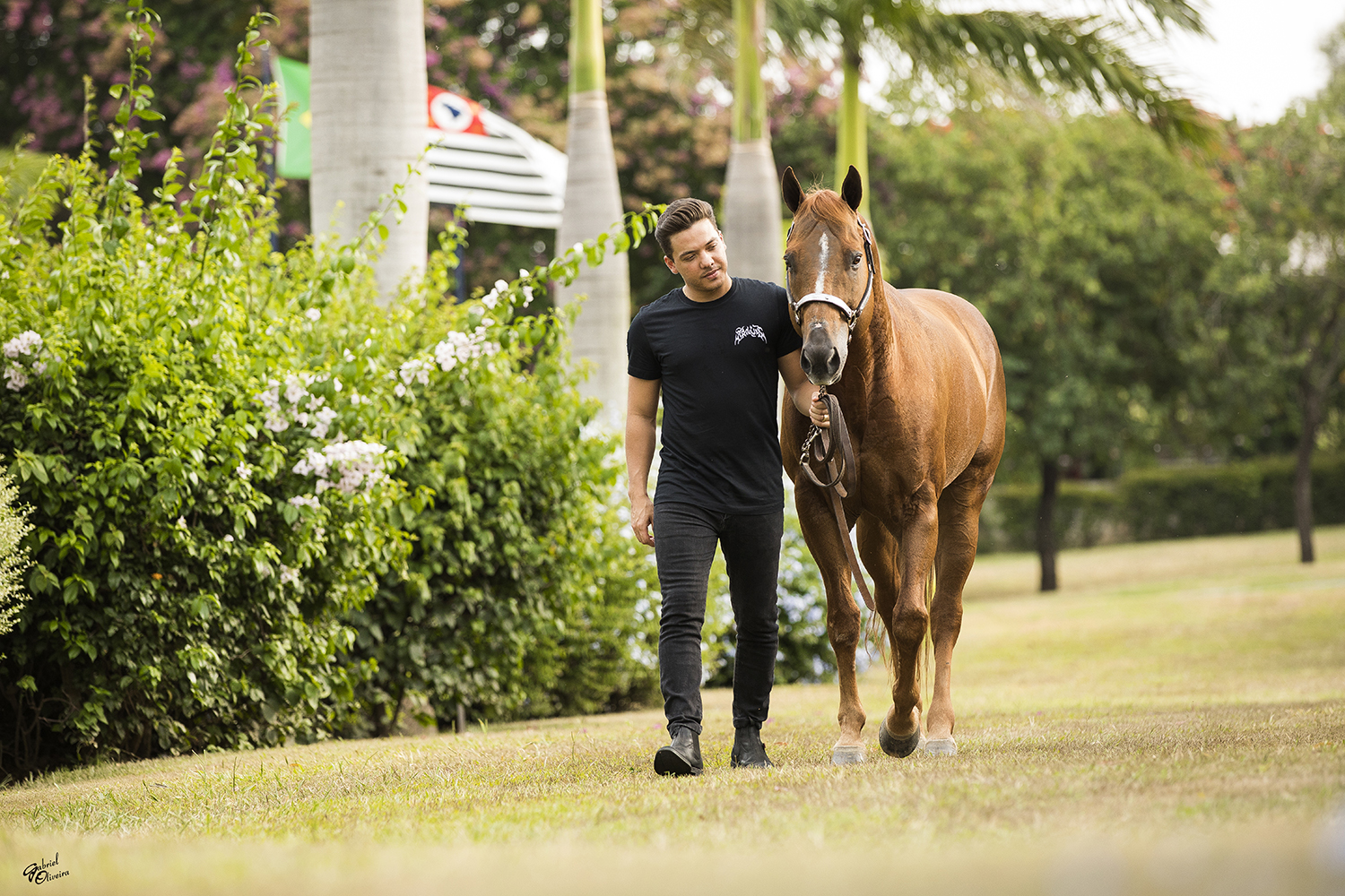 Marina Park recebe 1º Leilão Haras WS de Wesley Safadão