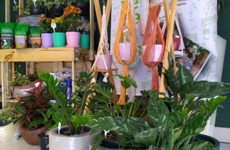 Empresa oferece entrega gratuita de plantas e acessórios de jardinagem
