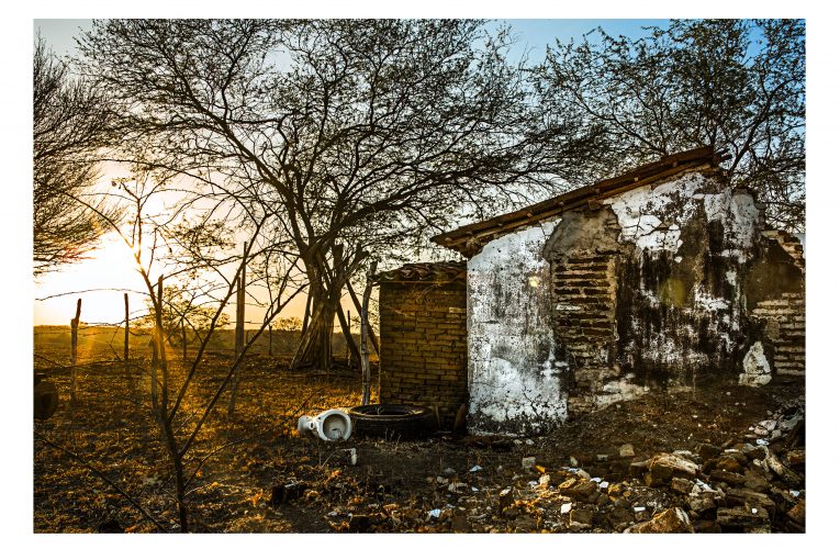 Iniciativa social para combate à pandemia é lançada por fotógrafos cearenses 