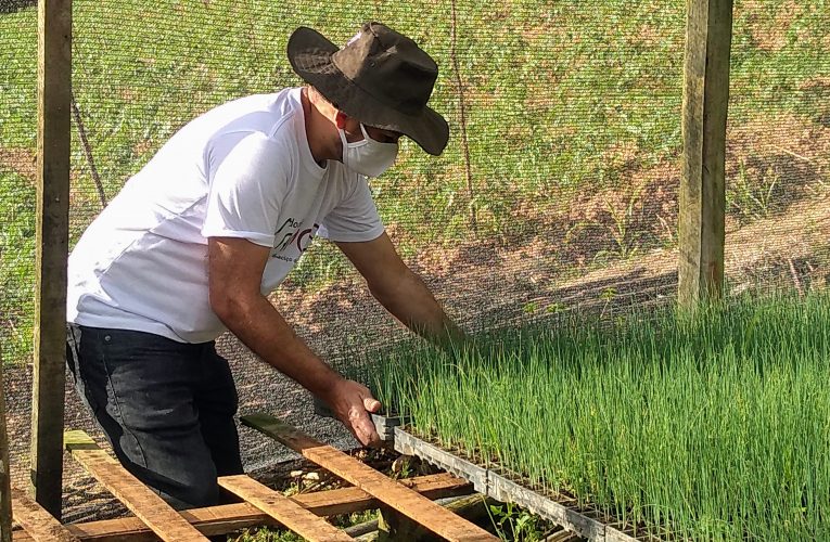 Projeto Do Chão Maciço amplia atendimento ao cliente com lançamento do Mercadinho Agroecológico do Maciço
