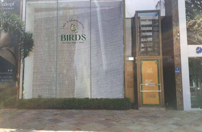 BIRDS: loja colaborativa do Jardins Open Mall aposta na união de 14 marcas de âmbito local e nacional 