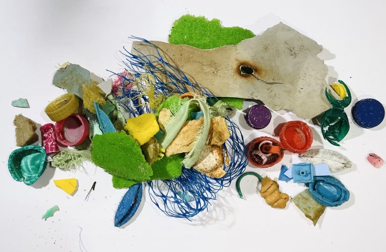 Escola de Artes Visuais da Vila das Artes abre 20 vagas para o workshop ‘O Desejo das Coisas’