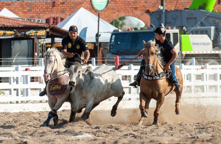 Vaquejada de Itapebussu reúne mais de 100 mil pessoas em edição comemorativa com shows históricos 