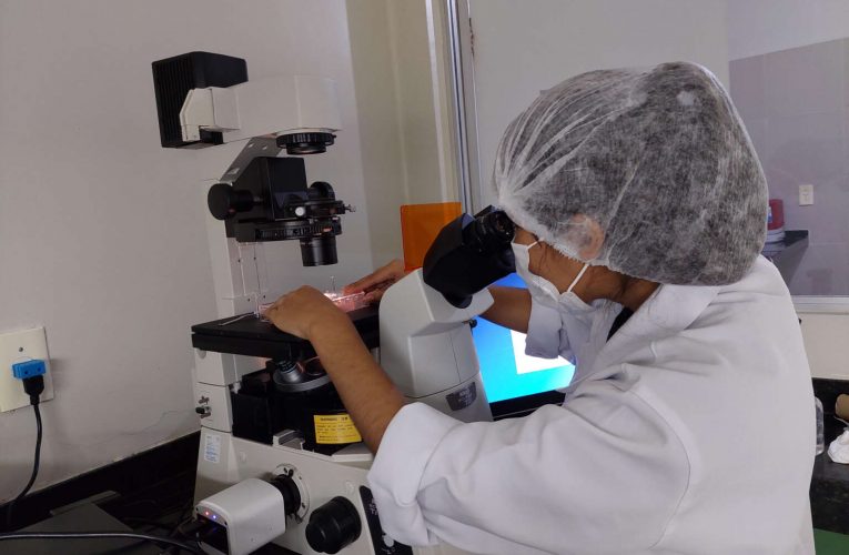 Pesquisa da Uece com animais pode contribuir para preservação da fertilidade humana