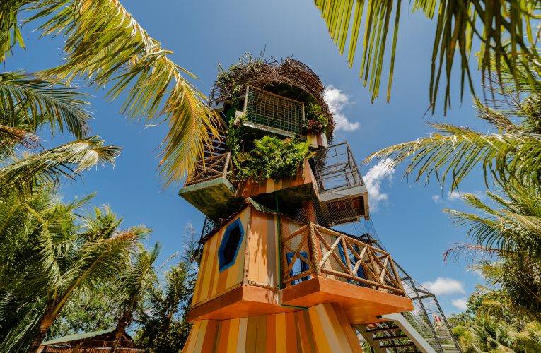 “Brincar como Antigamente” é destaque da programação de março do Parque Arvorar, novo parque do Beach Park, e convida famílias a desacelerar